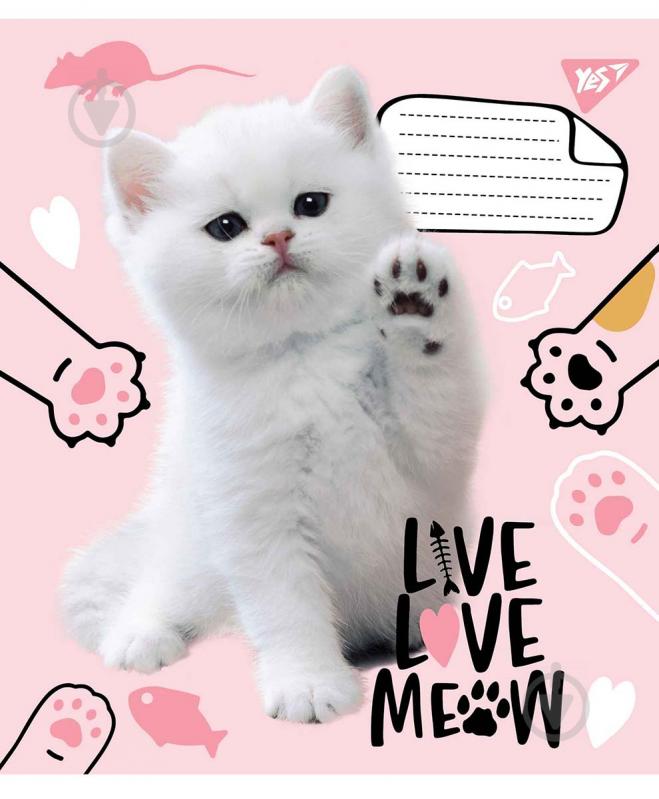 Тетрадь школьная Live love meow А5/12 в косую линию без д/л YES - фото 1