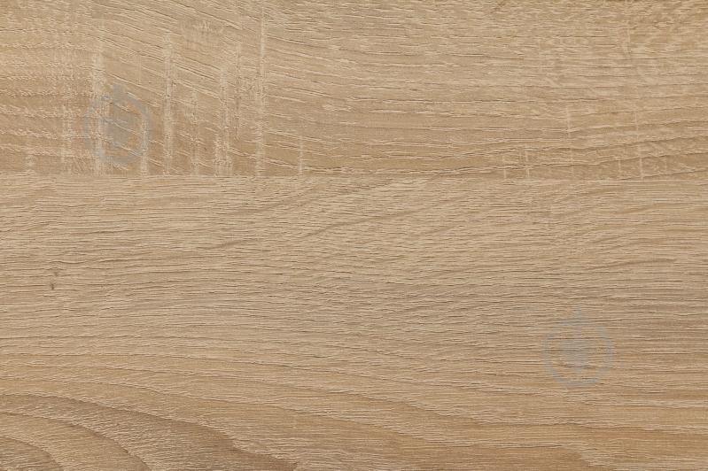 Шкаф Margo Рико 2Д дуб сонома/белый - фото 4