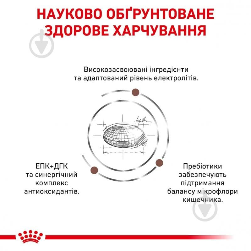 Корм сухий для котів Royal Canin Gastrointestinal Moderate Calorie + 4 пауча (11532) 2 кг - фото 3 Корм сухий для котів Royal Canin Gastrointestinal Moderate Calorie + 4 пауча (11532) 2 кг - фото 3