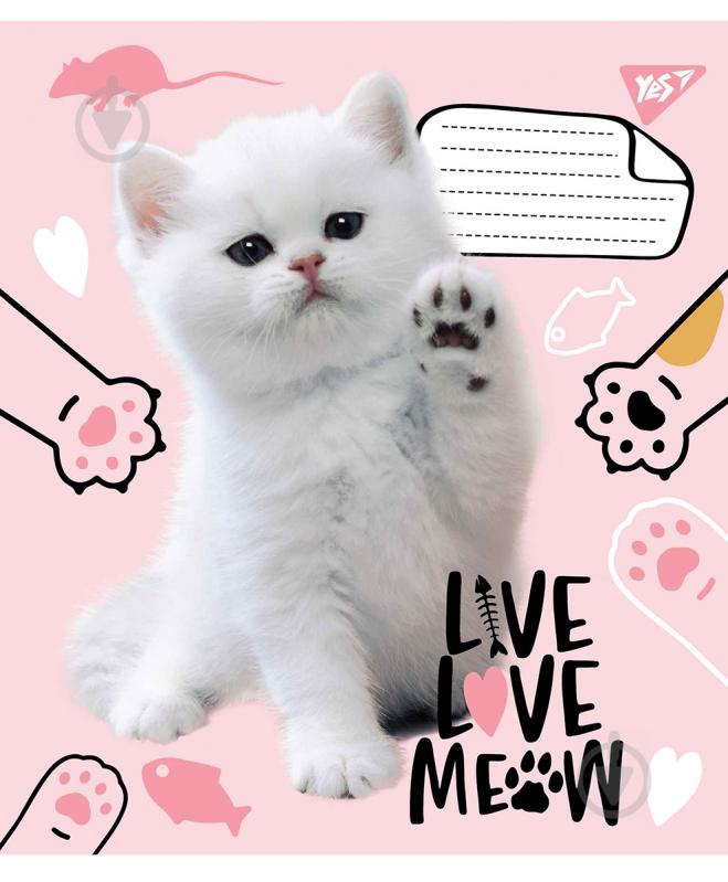 Тетрадь школьная Live love meow А5/18 в клетку YES - фото 1