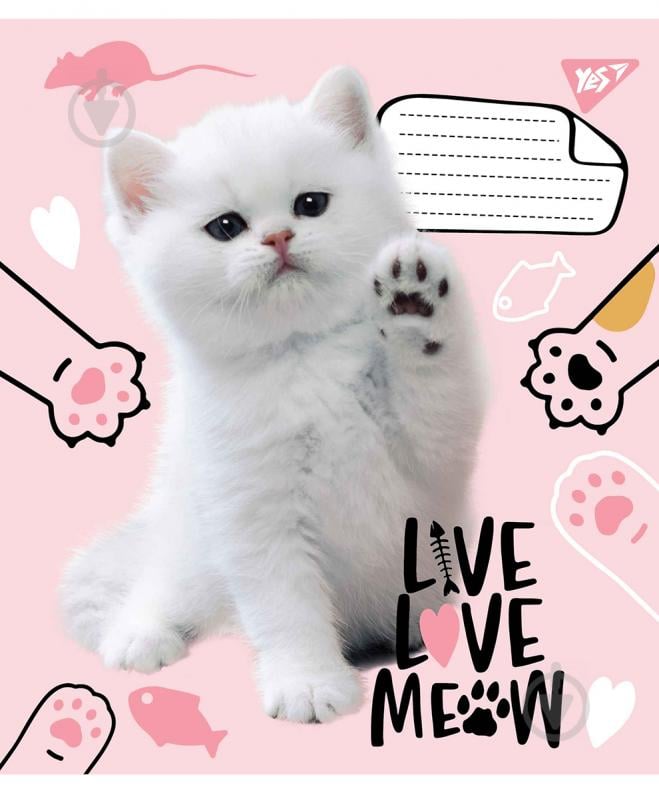 Зошит шкільний Live love meow А5/18 в лінію YES - фото 1