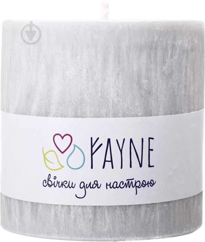 Свічка Циліндр пальмова сіра 10х10 см ТМ FAYNE - фото 1