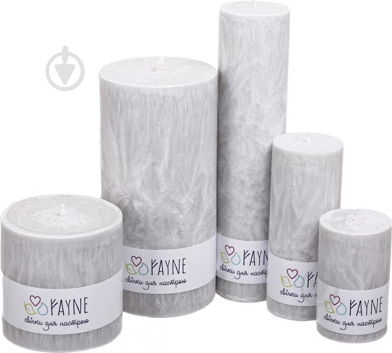 Свічка Циліндр пальмова сіра 10х10 см ТМ FAYNE - фото 4