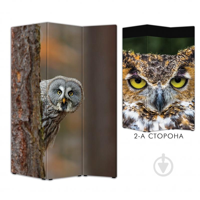 Ширма Теамо Сова 1750x1180x20 мм разноцветный - фото 1