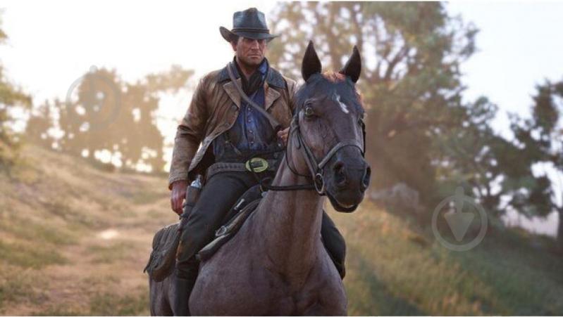 Игра Xbox Red Dead Redemption 2 (Xbox One, Russian subtitles) - фото 4 Игра Xbox Red Dead Redemption 2 (Xbox One, Russian subtitles) - фото 4