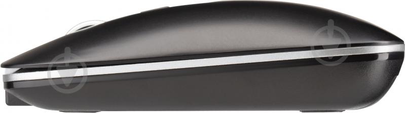 Мишка 2E 2E-MF290WB - фото 7