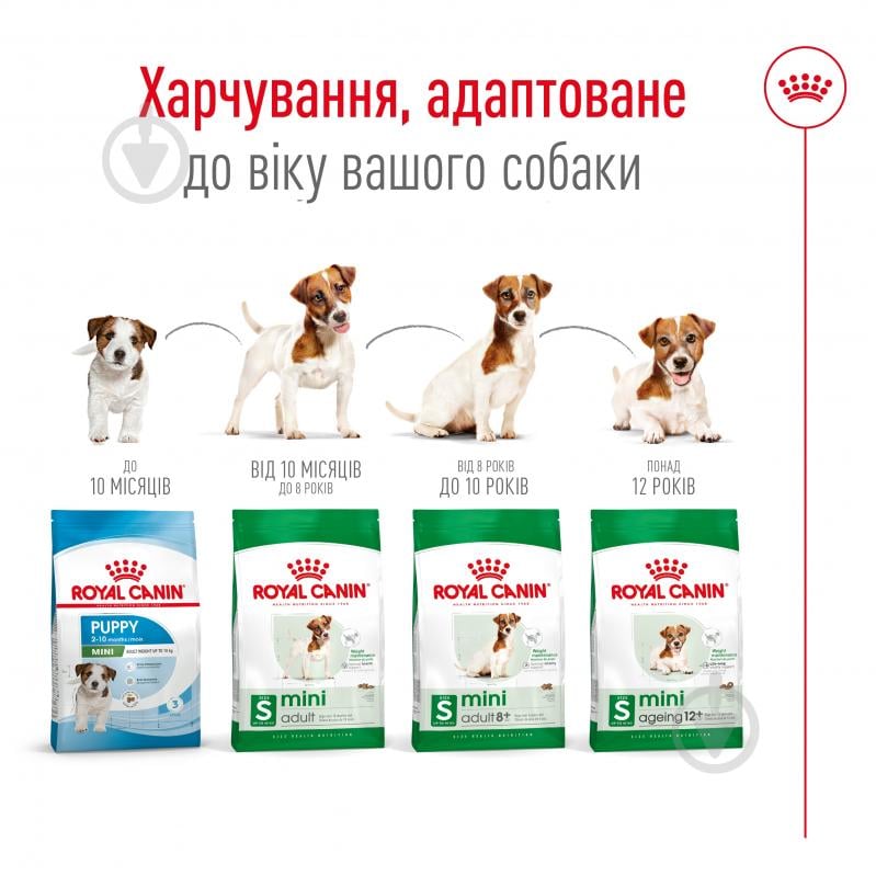 Корм сухий для дорослих собак для малих порід Royal Canin MINI ADULT 8+ 800 г (домашня птиця) 800 г - фото 3