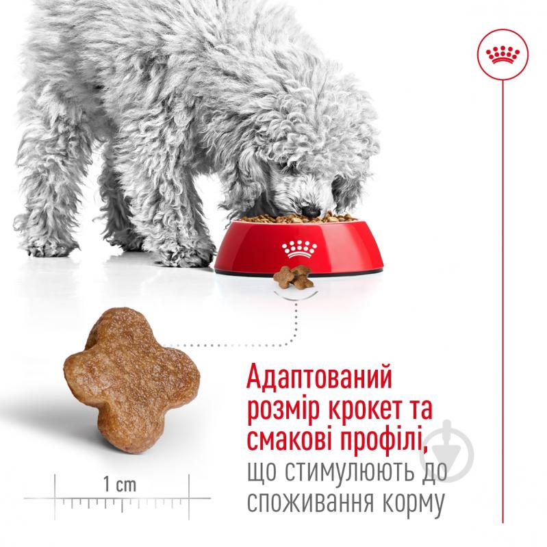 Корм сухий для дорослих собак для малих порід Royal Canin MINI ADULT 8+ 800 г (домашня птиця) 800 г - фото 4