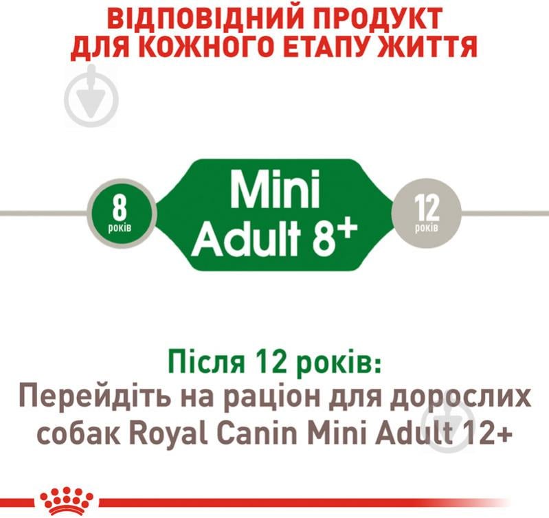 Корм сухий для дорослих собак для малих порід Royal Canin MINI ADULT 8+ 800 г (домашня птиця) 800 г - фото 3