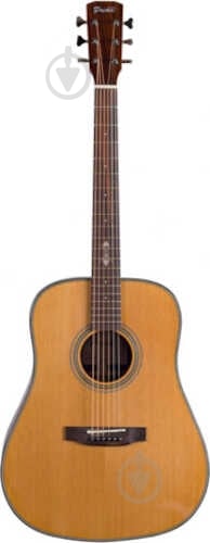 Гитара акустическая Prima DSAG219 Acoustic Guitar - фото 1