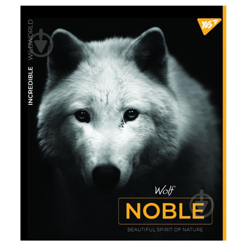 Тетрадь школьная Noble 24 листов линия YES - фото 5