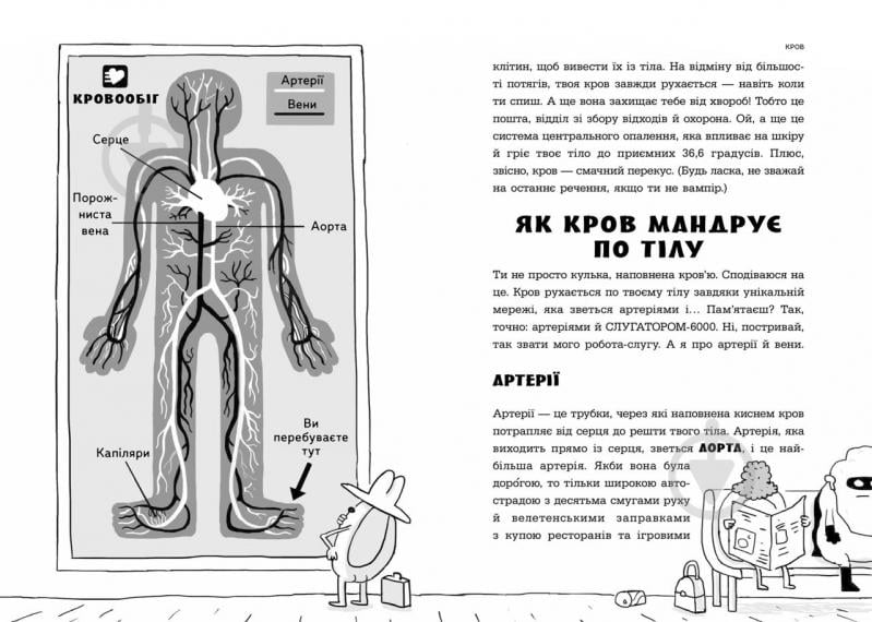 Книга Адам Кей «Анатомія для дітей» 978-966-915-373-9 - фото 2