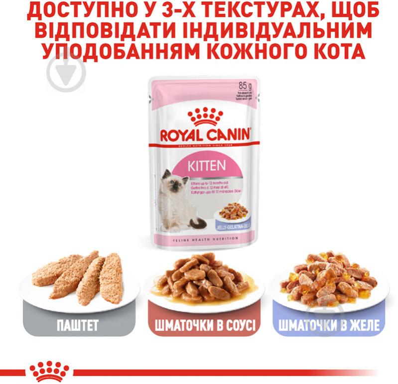 Корм влажный для котят Royal Canin Kitten Instinctive в желе мясо 85 г - фото 6