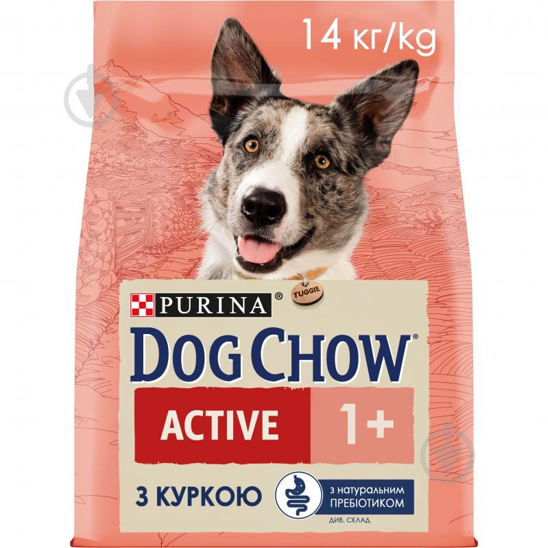 Корм сухой Dog Chow by Purina Active Adult 1+ для взрослых собак с повышенной активностью с курицей 14 кг - фото 1 Корм сухой Dog Chow by Purina Active Adult 1+ для взрослых собак с повышенной активностью с курицей 14 кг - фото 1