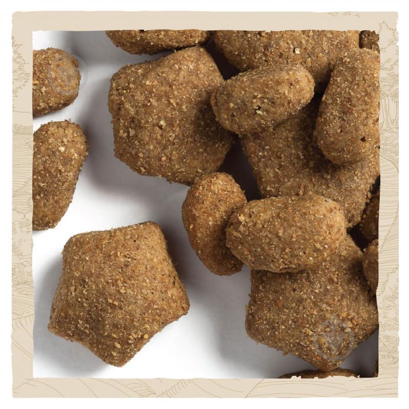 Корм сухой Dog Chow by Purina Active Adult 1+ для взрослых собак с повышенной активностью с курицей 14 кг - фото 9 Корм сухой Dog Chow by Purina Active Adult 1+ для взрослых собак с повышенной активностью с курицей 14 кг - фото 9