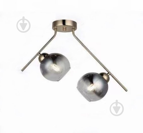 Люстра потолочная Focus Light Molecula 2x60 Вт E27 хром 3374/2 хром - фото 1