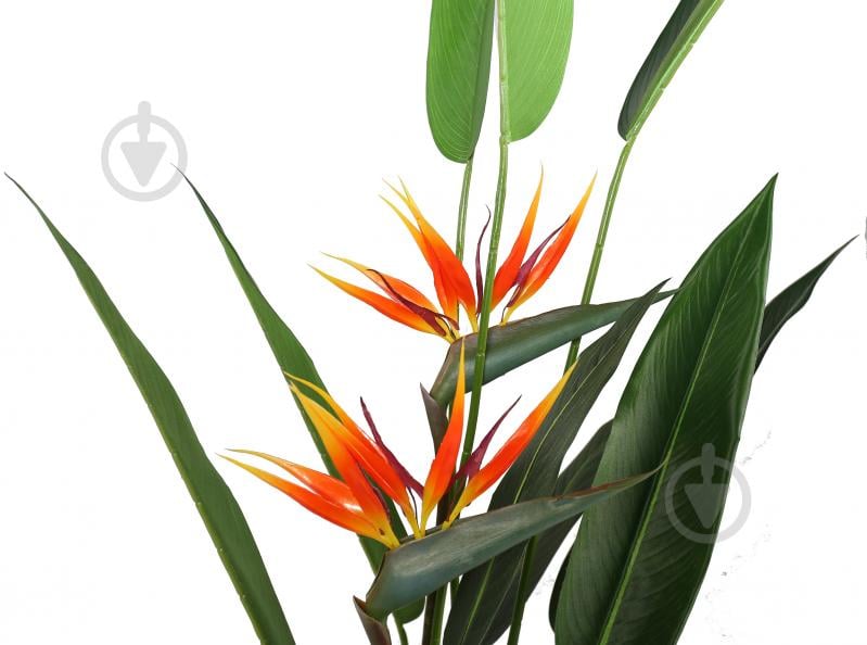 Дерево искусственное Strelitzia (DW-09) Engard - фото 4