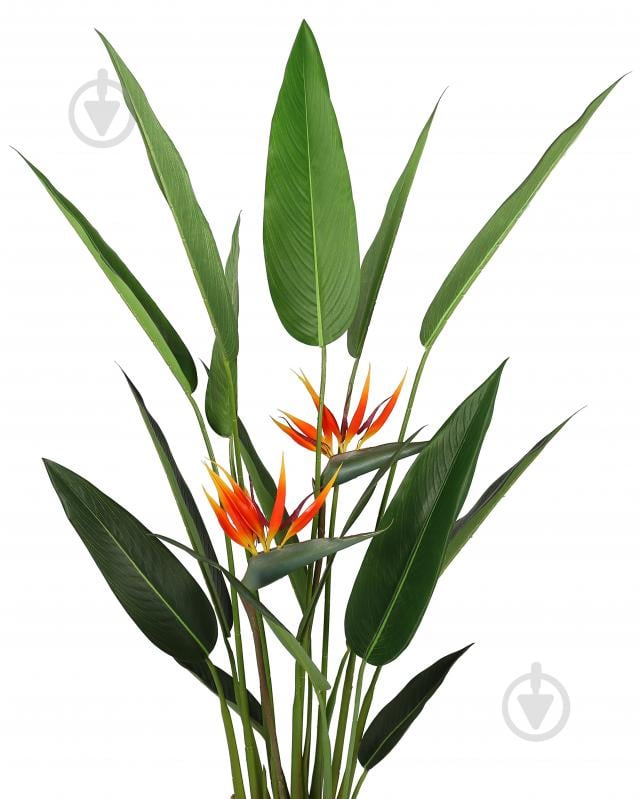 Дерево искусственное Strelitzia (DW-09) Engard - фото 2