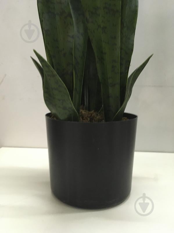 Растение искусственное Sansevieria (DW-10) Engard - фото 3 Растение искусственное Sansevieria (DW-10) Engard - фото 3