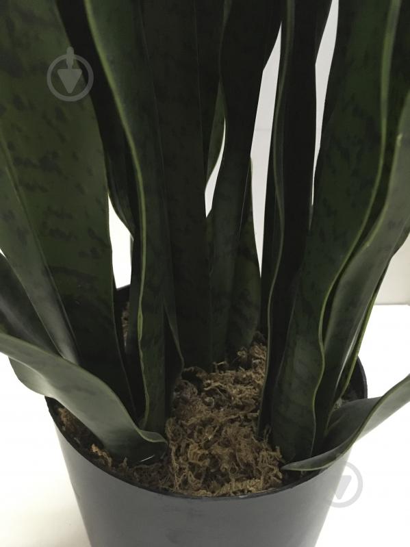 Растение искусственное Sansevieria (DW-10) Engard - фото 4 Растение искусственное Sansevieria (DW-10) Engard - фото 4