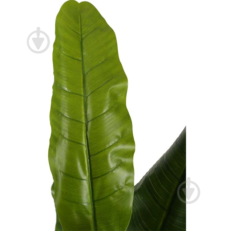 Дерево штучне Banana Tree (DW-08) Engard - фото 2 Дерево штучне Banana Tree (DW-08) Engard - фото 2