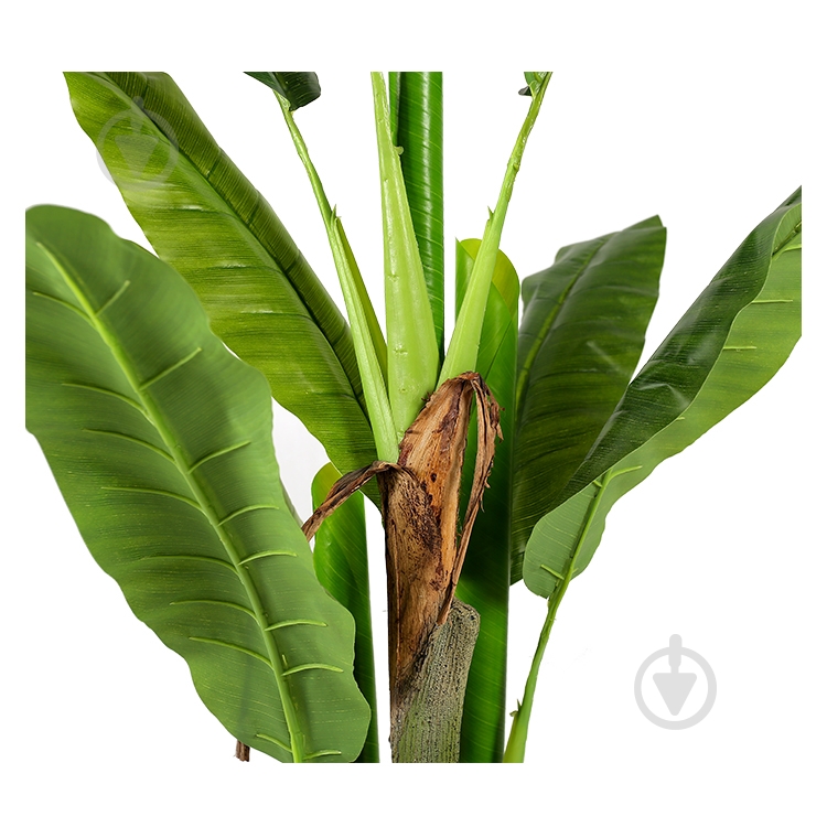 Дерево штучне Banana Tree (DW-08) Engard - фото 5 Дерево штучне Banana Tree (DW-08) Engard - фото 5