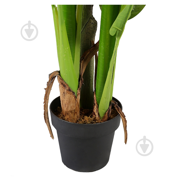 Дерево штучне Banana Tree (DW-08) Engard - фото 7 Дерево штучне Banana Tree (DW-08) Engard - фото 7