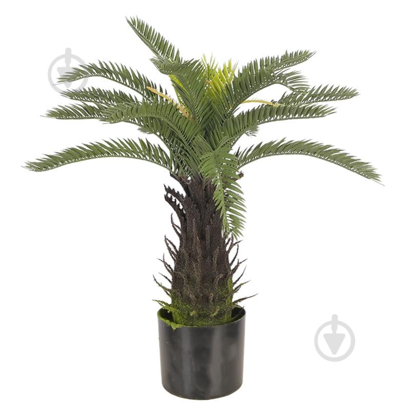 Дерево искусственное Cycas Palm (DW-25) Engard - фото 1