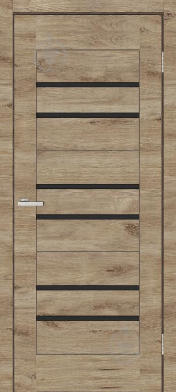 Блок дверной ОМиС BIT 06 ВG R ПО черное стекло 750 мм дуб леон - фото 1 Блок дверной ОМиС BIT 06 ВG R ПО черное стекло 750 мм дуб леон - фото 1