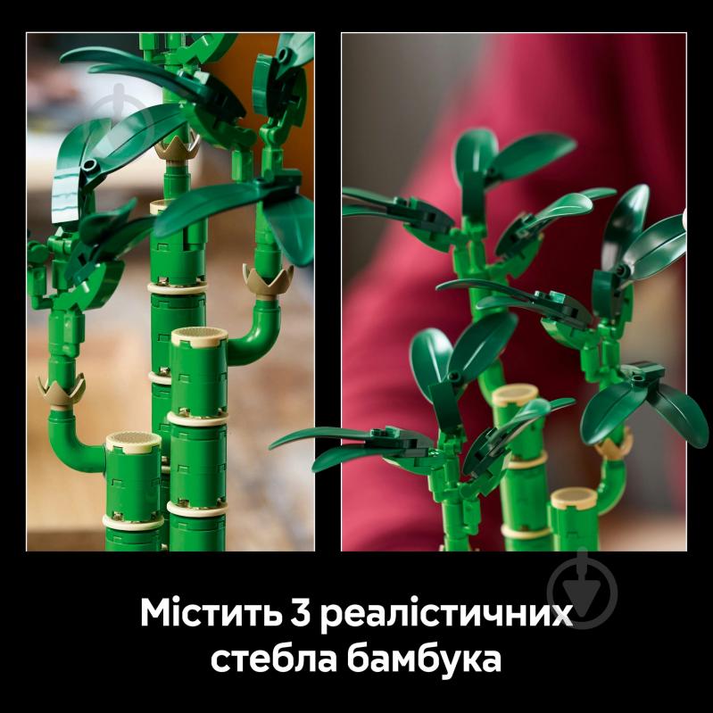 Конструктор LEGO Botanical Бамбук щастя 10344 - фото 6 Конструктор LEGO Botanical Бамбук щастя 10344 - фото 6