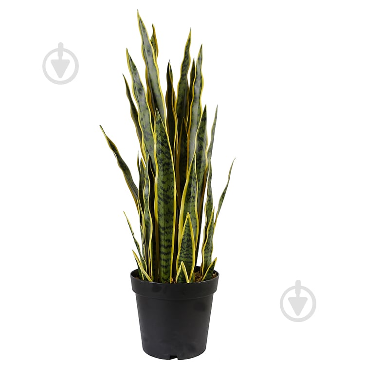 Рослина штучна Sansevieria (DW-12) Engard - фото 1