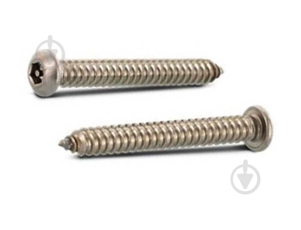 Саморез по металлу с полукруглой головкой 4,8x38 мм 5 шт Expert Fix - фото 1