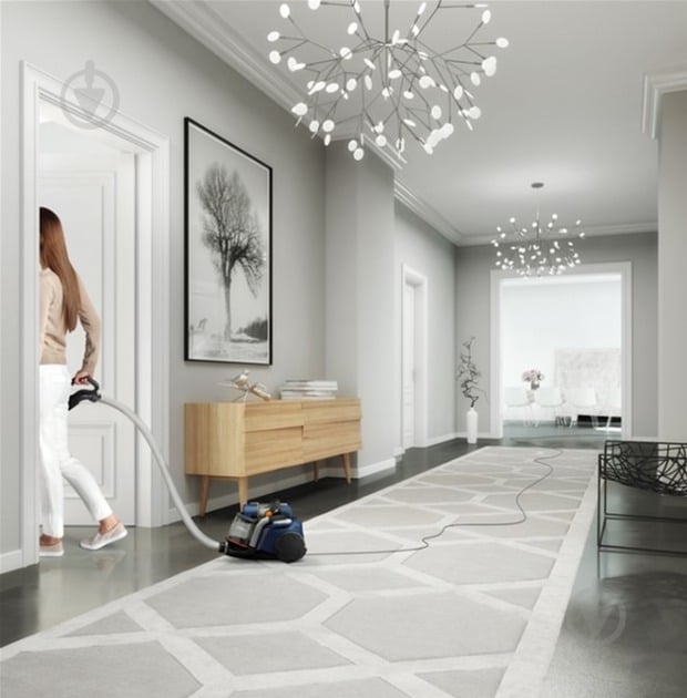 Пылесос Electrolux EUFC8ALRGY white - фото 5