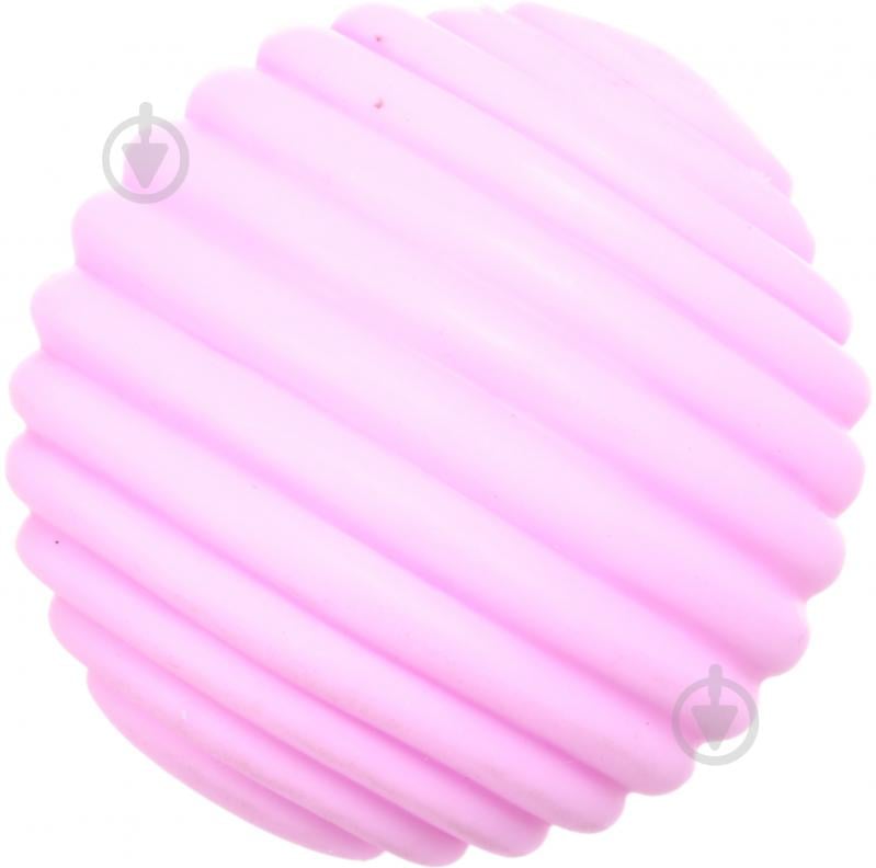 Набір іграшок для купання Jia Cheng м'ячики/фігурки текстурні барвисті OTG0975521 - фото 5 Набір іграшок для купання Jia Cheng м'ячики/фігурки текстурні барвисті OTG0975521 - фото 5