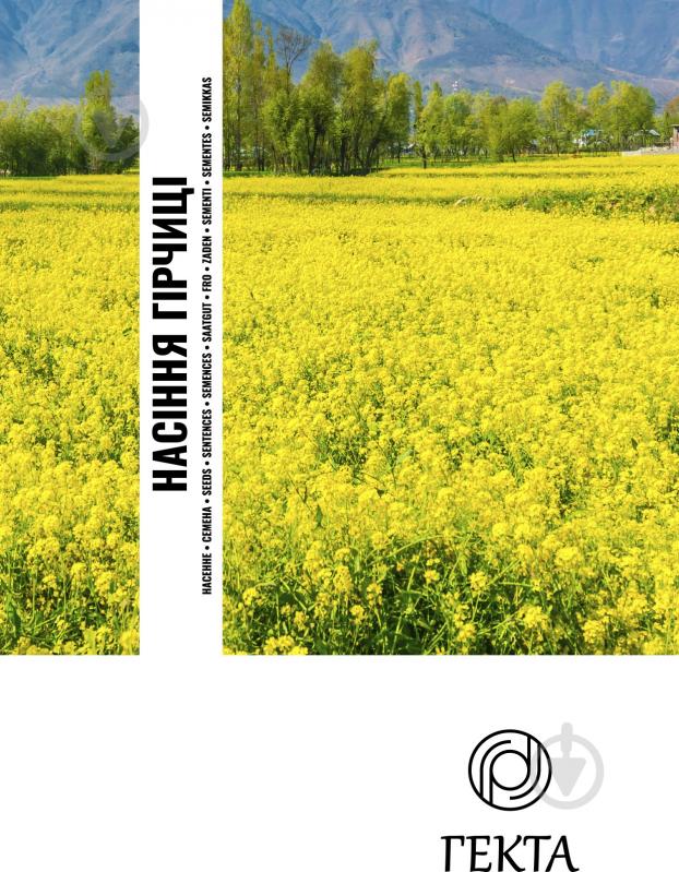Насіння Насіння Гірчиці - фото 2 Насіння Насіння Гірчиці - фото 2