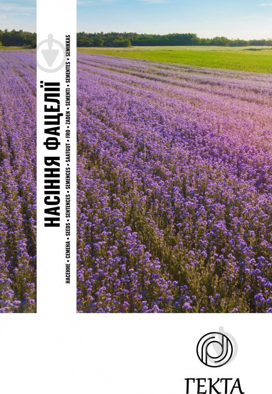 Насіння фацелія Насіння Фацелії 500 г 1 шт. - фото 2 Насіння фацелія Насіння Фацелії 500 г 1 шт. - фото 2