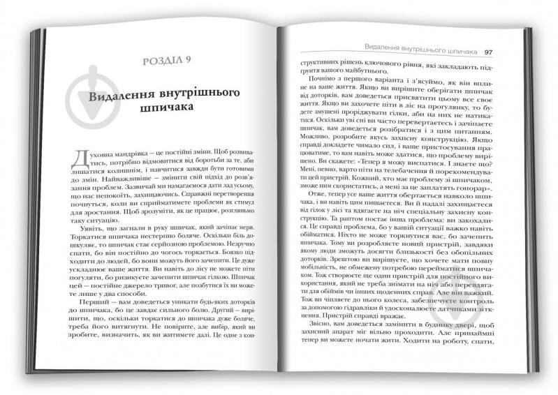 Книга Майкл А. Сінґер «Розкута душа. Мандрівка поза власні межі» 978-966-948-587-8 - фото 5