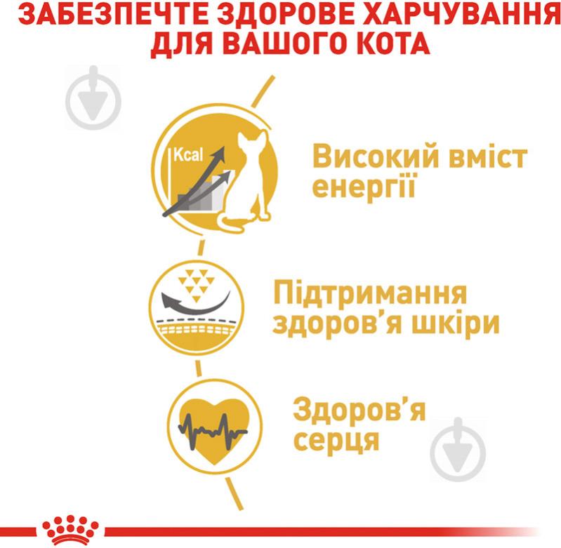 Корм сухий для дорослих котів породи сфінкс Royal Canin Sphynx Adult домашня птиця, кукурудза, рис, томат 400 г - фото 5