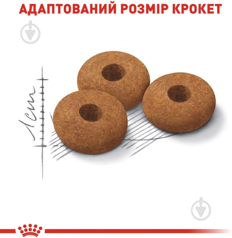 Корм сухой для стерилизованных кошек, склонных к выпрашиванию корма Royal Canin Sterilised Appetite Control домашняя птица, злаки, кукуруза 2 кг - фото 4