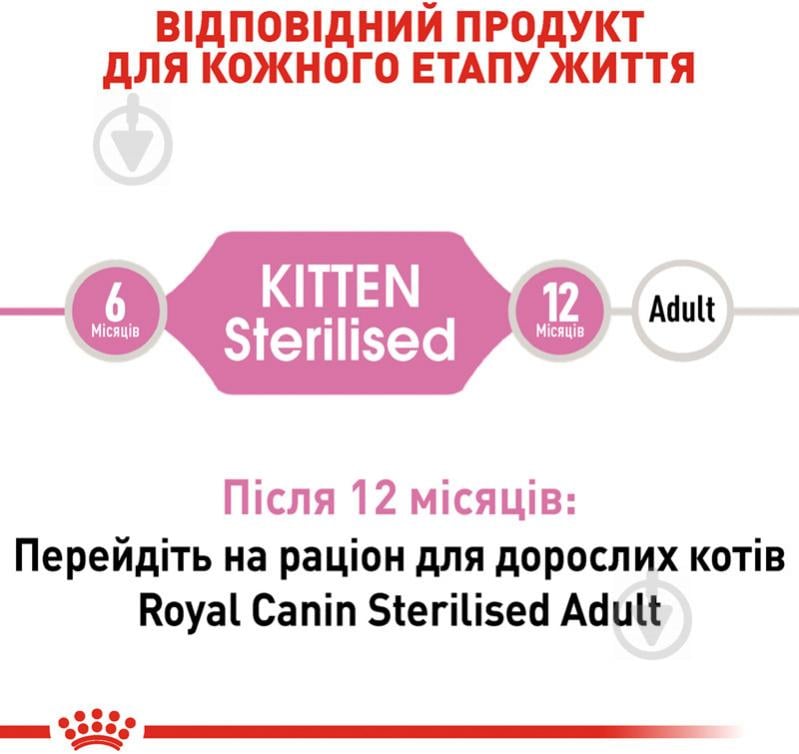 Корм сухий для стерилізованих кошенят віком від 6 до 12 місяців Royal Canin Kitten Sterilised домашня птиця, куку - фото 3