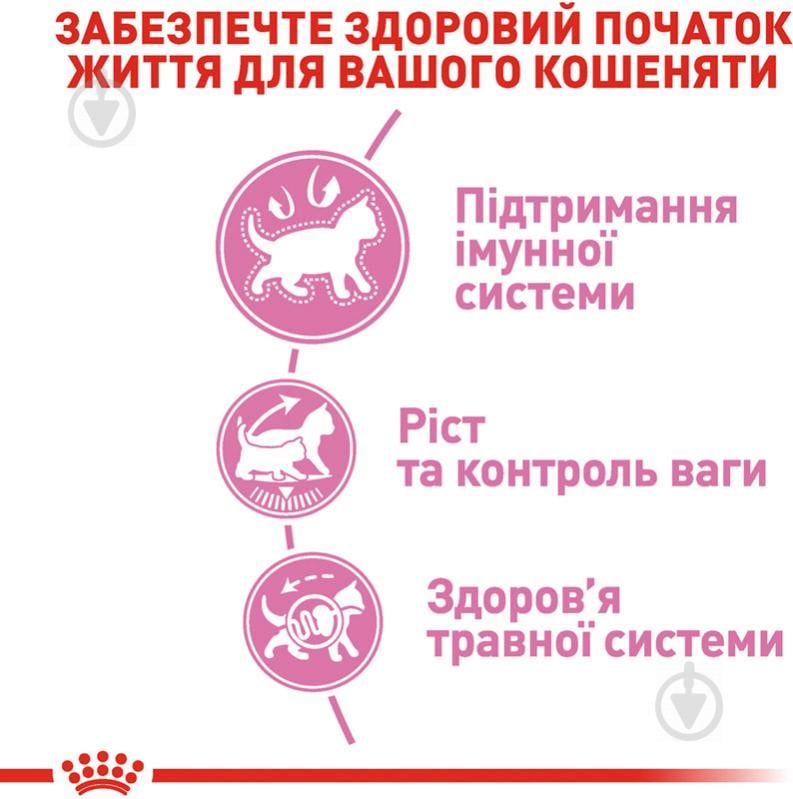 Корм сухий для стерилізованих кошенят віком від 6 до 12 місяців Royal Canin Kitten Sterilised домашня птиця, куку - фото 5