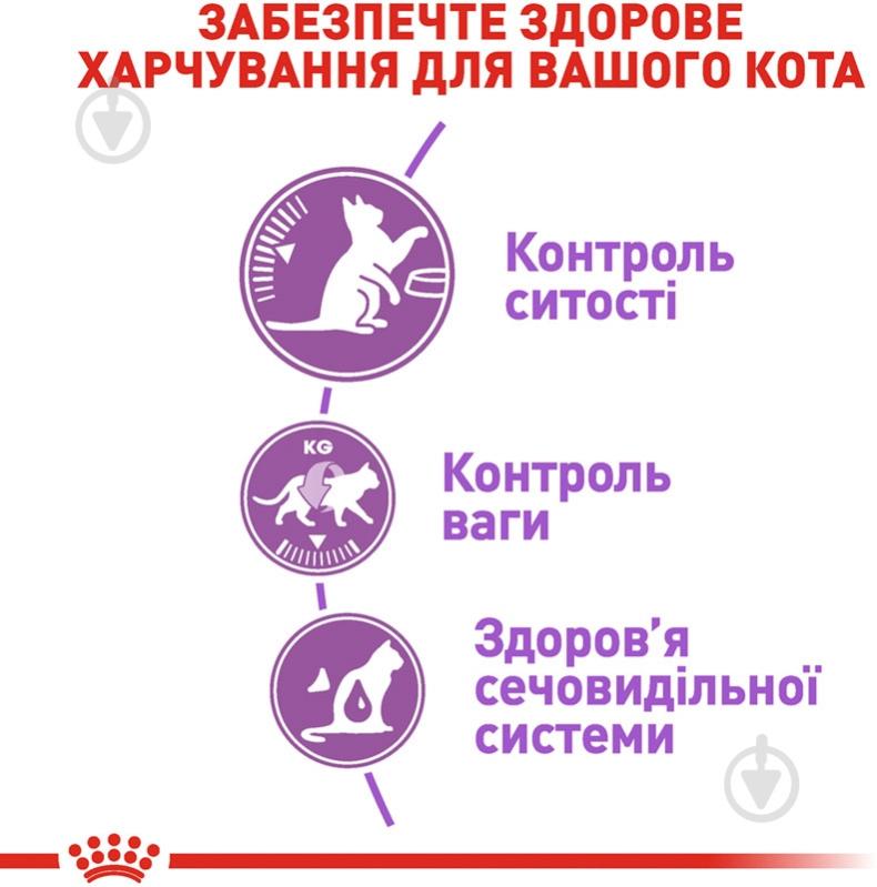 Корм сухой для стерилизованных кошек, склонных к выпрашиванию корма Royal Canin Sterilised Appetite Control домашняя птица, кукуруза 400 г - фото 4 Корм сухой для стерилизованных кошек, склонных к выпрашиванию корма Royal Canin Sterilised Appetite Control домашняя птица, кукуруза 400 г - фото 4