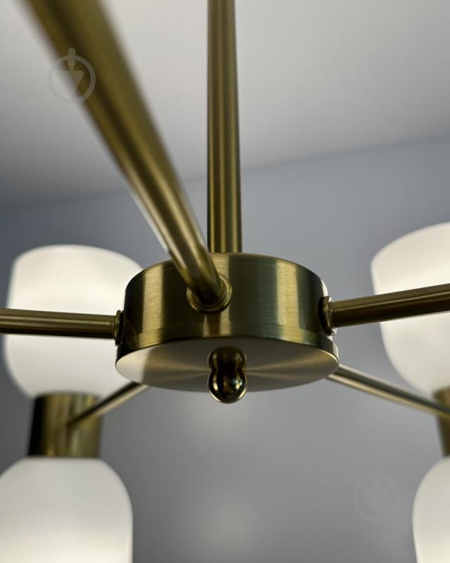 Люстра Edlin Aurora 10x12 Вт E27 PL321155-10 - фото 6