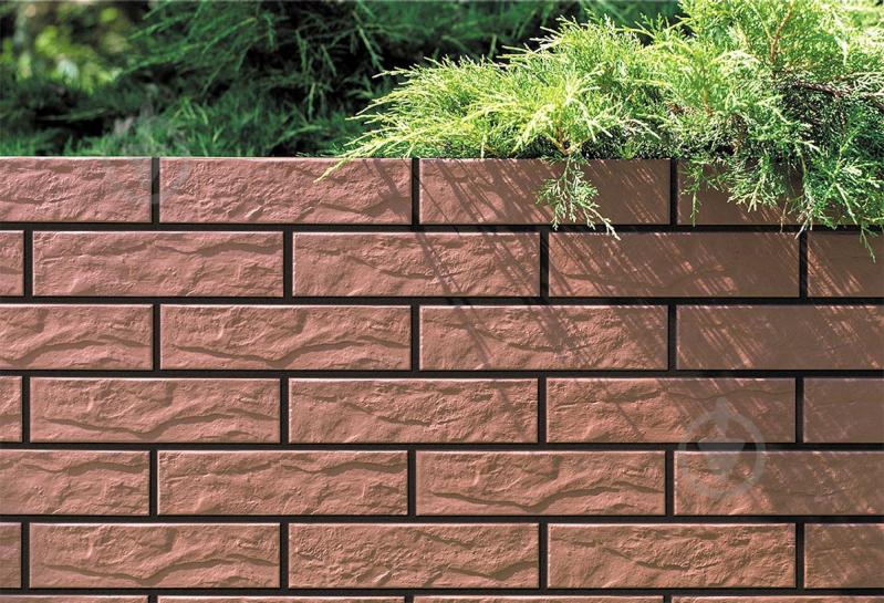 Клинкерная плитка Cerrad Burgund Rustiko 25x6,5 - фото 2