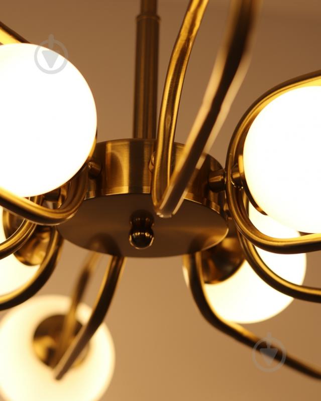 Люстра Edlin Sonte 12x10 Вт G9 PL321159-12 - фото 5 Люстра Edlin Sonte 12x10 Вт G9 PL321159-12 - фото 5