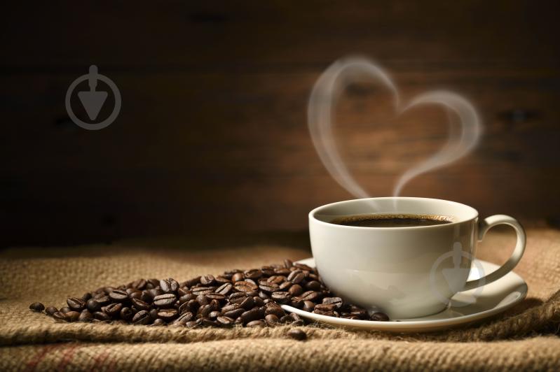 Кофеварка капельная Cuisinart DGB2E - фото 3