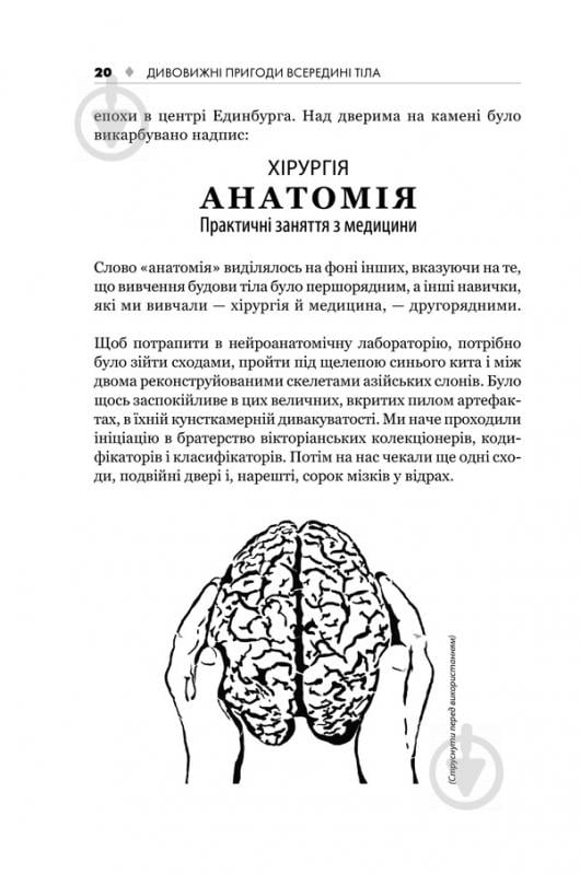 Книга Гэвин Фрэнсис «Дивовижні пригоди всередині тіла. Велика подорож від голови до п’ят» 978-617-12-1521-4 - фото 4