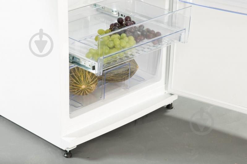 Холодильник Snaige C31SM-T1002E - фото 4