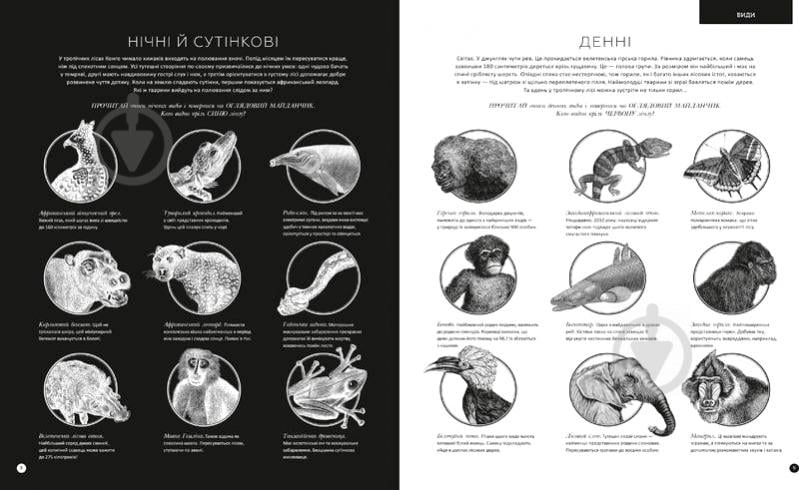 Книга Рейчел Уильямс «Приховані дива + чарівні лінзи» 978-617-7563-06-7 - фото 6