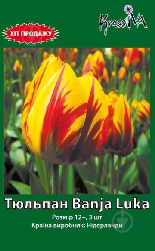 Луковица тюльпана Banja Luka 3 шт. - фото 1